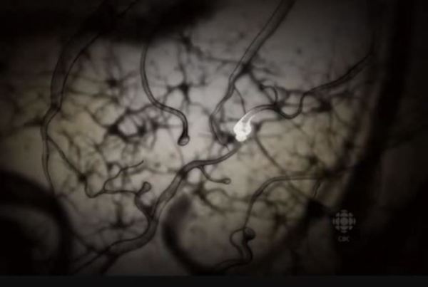 Neural-Pathways