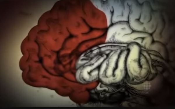 Pre-Frontal-Cortex