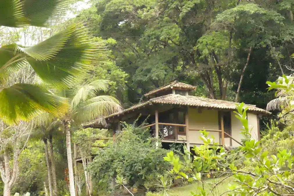 P1030850