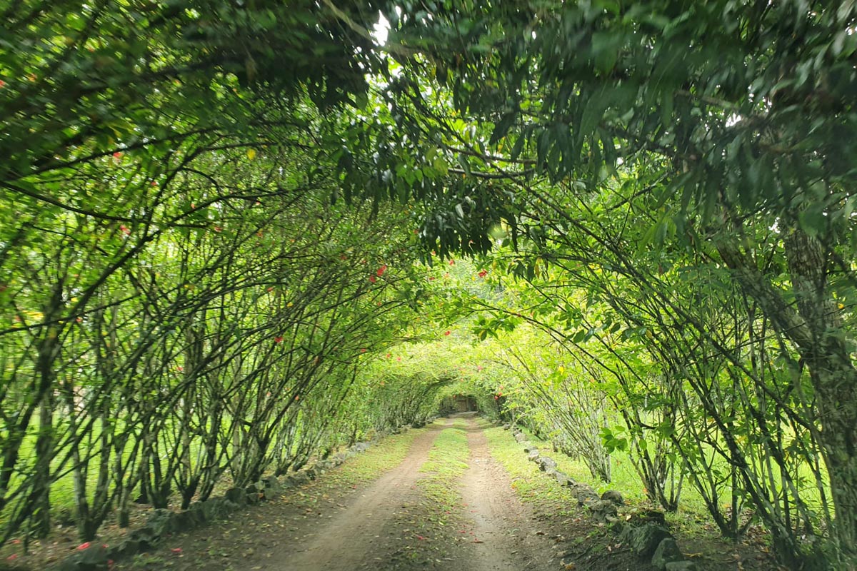 path