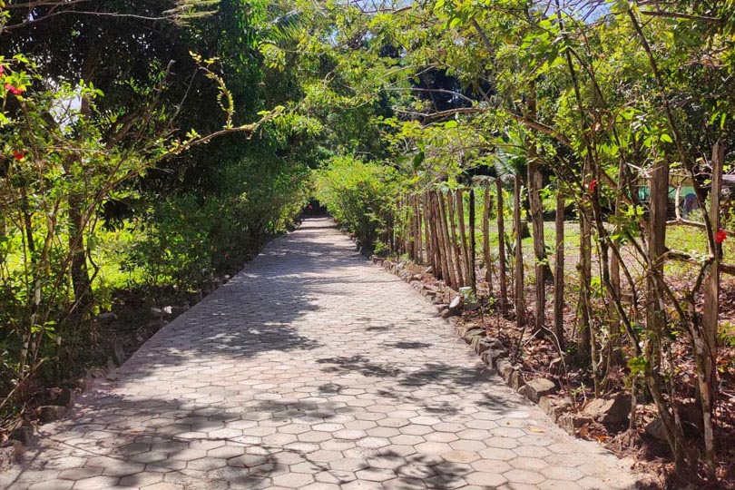 paved-path